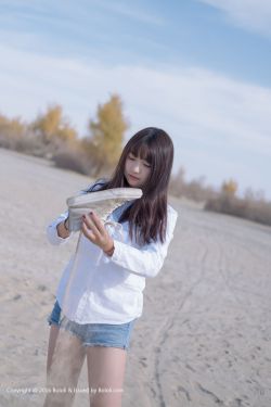 魔法科高校的优等生